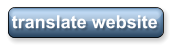 translate website